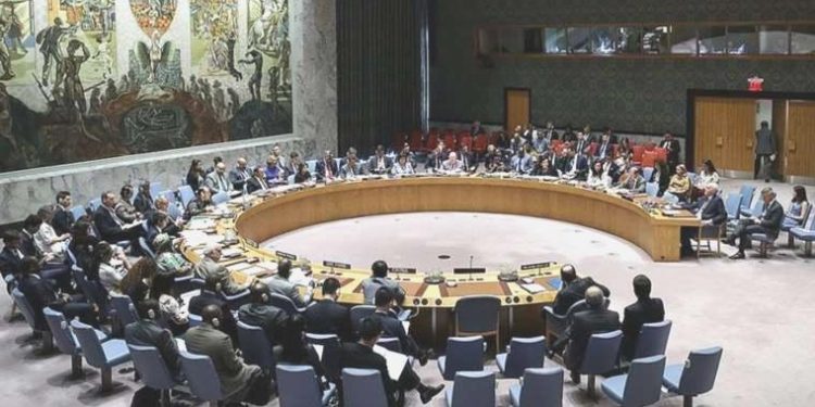 Rusya’dan Mali’ye takviye: Yaptırım karar tasarısını veto etti