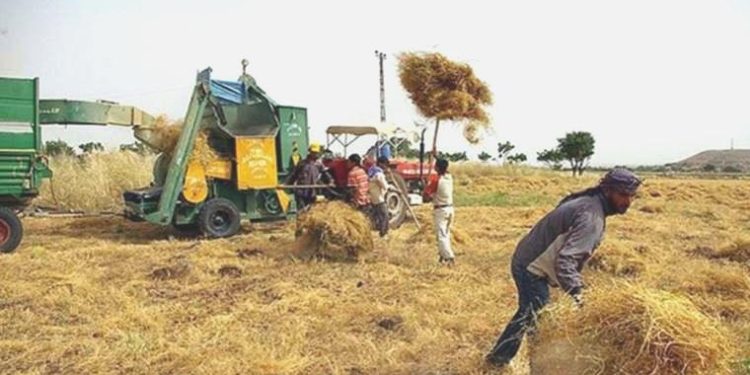 Tarım dalı Cumhurbaşkanı yardımcısı Cevdet Yılmaz’a sıkıntı yandı