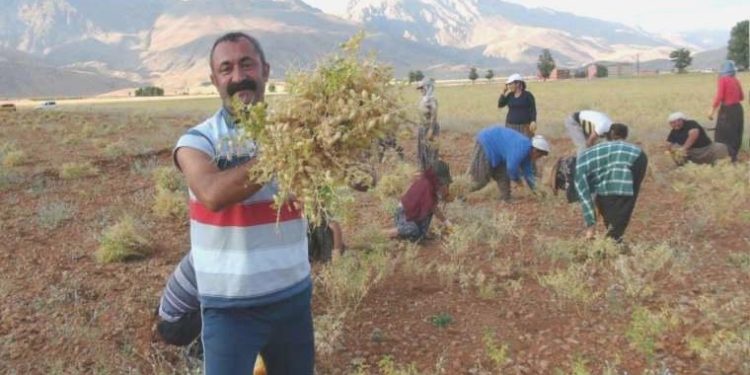 Tunceli Belediye Lideri Fatih Mehmet Maçoğlu Cumhuriyet TV yayınına katıldı: ‘Neden kâr edelim, belediye tüccar mı?’