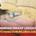 Uzmanından dikkat çeken uyarı! Kedi tüyü hangi durumlarda ziyanlıdır?