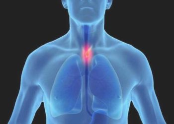 Yapay zekayla yemek borusu kanserinin evresini tespit eden sistem