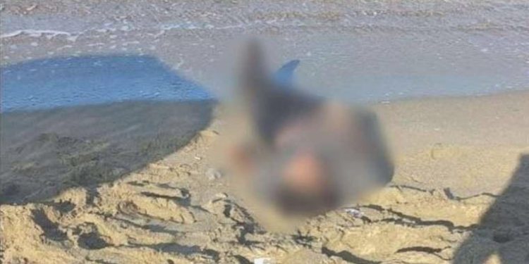 Kuşadası’nda deniz kıyısına vurmuş erkek cesedi bulundu