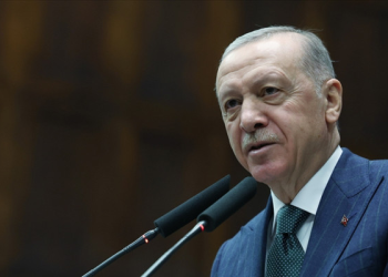 Erdoğan’dan sokak hayvanları ile ilgili açıklama: Öncelik sahiplendirme olacak