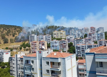 İzmir ve Balıkesir’de 4 farklı orman yangını