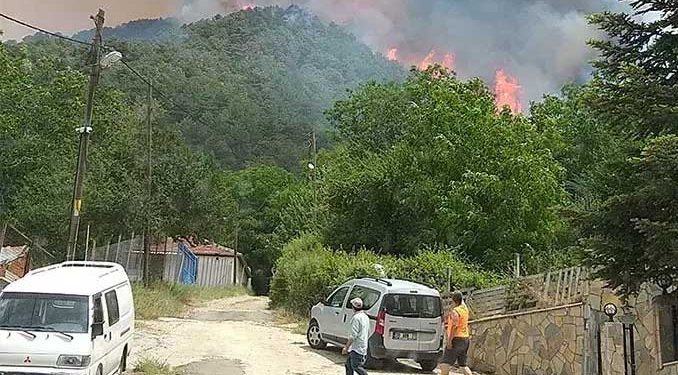 Muğla’da başlayan orman yangını Denizli’ye sıçradı