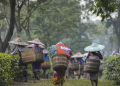 Hindistan’da hava koşulları çay üretimini vurdu