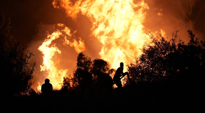 “İzmir’deki yangınlara 596 araç ve 2965 personel müdahale ediyor”