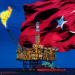 Türkiye’nin petrol ve doğalgaz üretiminde rekor