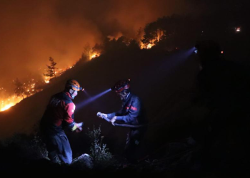 Muğla’da çıkan orman yangınına müdahale sürüyor