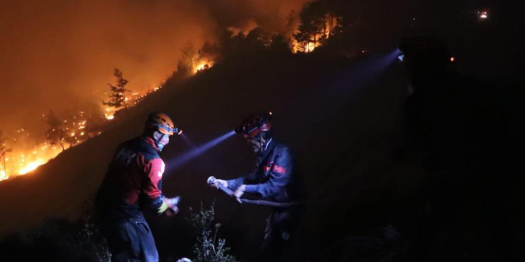 Muğla’da çıkan orman yangınına müdahale sürüyor