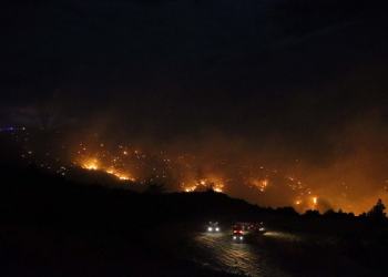 Muğla’da ormanlık alanda yangın