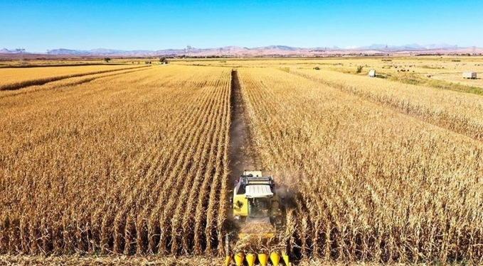 Tarımda üretici enflasyonu yıllık bazda 31.09 arttı