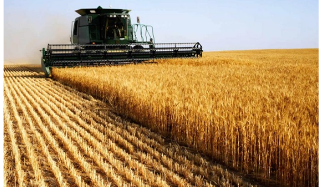 Tarım sektöründen ihracat rekoru