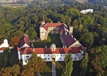 Elon Musk, Avrupa’da kale satın alıyor