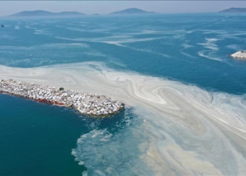 Marmara Denizi’ne kıyısı olan belediyelere müsilaj uyarısı
