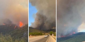 Bursa’da orman yangını! Anonslar yapıldı