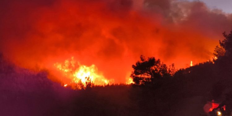 Hatay’da da orman yangını çıktı
