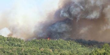 Karamürsel’de alevlerle mücadele sürüyor