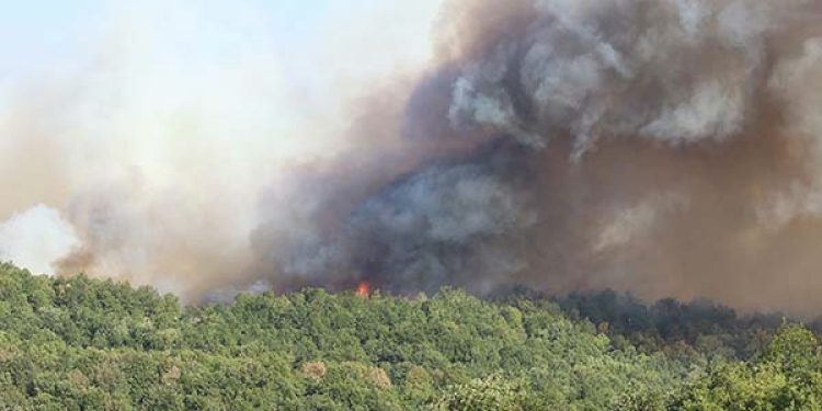 Karamürsel’de alevlerle mücadele sürüyor