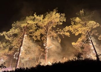 Antalya ve Muğla’da orman yangınları: 582 kişi tahliye edildi