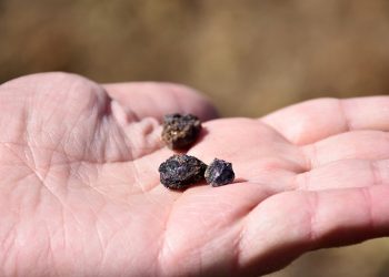Türkiye “nadir toprak elementleri için ABD ile görüşüyor” iddiası