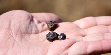 Türkiye “nadir toprak elementleri için ABD ile görüşüyor” iddiası