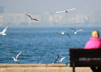 Üç gün yağış yok, sıcaklık artacak