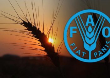 Küresel gıda fiyatlarında düşüş hız kesmedi!