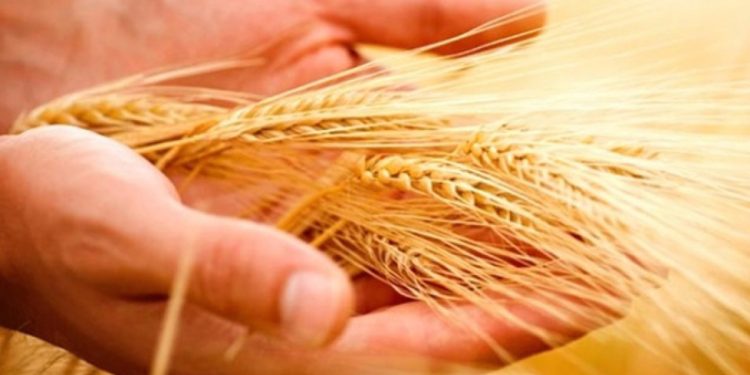 Yeni hibe düzenlemesiyle kırsalda üretim güçleniyor