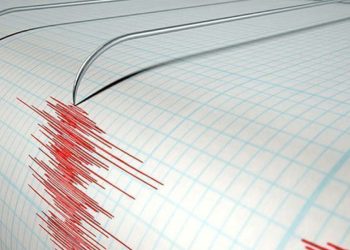 Erzincan sallandı! 4.9 büyüklüğünde deprem