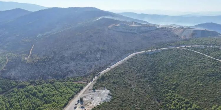 Milas’taki orman yangını rüzgarın etkisiyle yayıldı: 1120 kişi tahliye edildi