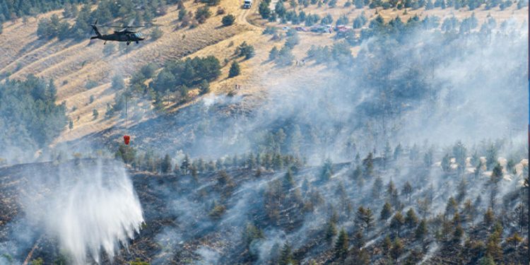 Ankara’da ormanlık alanda yangın